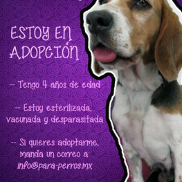 D 954e3761 bd10 49ec af89 c31d84961d5f