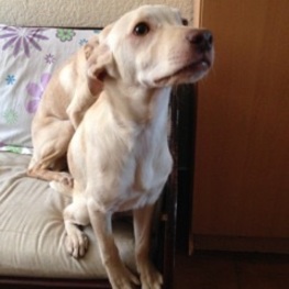 D 573b7558 65d1 447e b481 006107cdb100