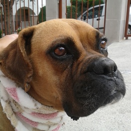 D 95f38c33 018d 4ced a323 24a8725bfd10