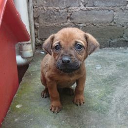 D baf64393 a4e0 4dae b5d6 6a2704707280