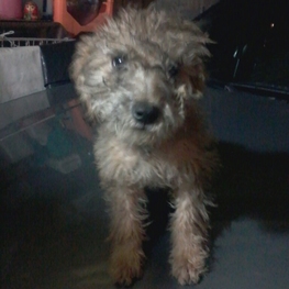 D fec1784c d400 4508 8cf5 f13acb4f1f55