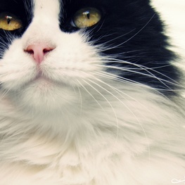 D fd0e583e e2b9 4d55 854d 54eea46e49bc