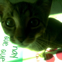 D d663cf7d c955 4fbb bd6e b2465d82c551