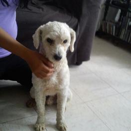 D 1b7565f9 2308 43b9 81d5 e2e5d7afbc58