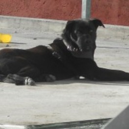 D ec8b1b07 2c8d 4388 bf41 bcf18d555e48