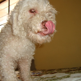 D b2652b16 9d1b 4225 87bb 92514a3b1f64