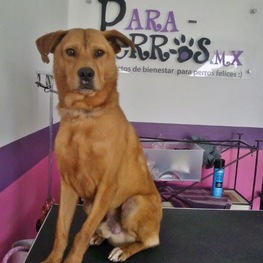 D 7b8fb560 9ddf 4ddc 9afc 66f951e47058