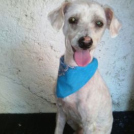 D 0847e05f c9fc 4a6a 8b8f ec60bb3addf3