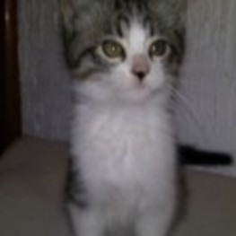 D 7565aaa1 6171 40d6 bca6 c992dd396b63