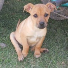 D aeffcee4 5dc0 49d6 bcff f5bbd8481344