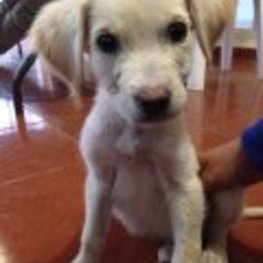 D 5f60b9be 69b0 4a8d 9afb 6e0f50c232fd