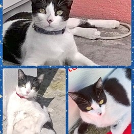 D 1e38d5e1 2ca7 4bd6 bcf0 c8b15f53c5d2