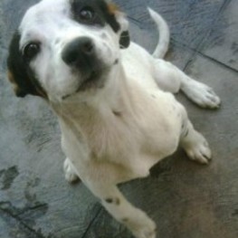 D 4b57cdff 1bef 4759 b9ca 4f965645b1f1