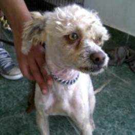 D 6b1d9474 25a0 47f9 9f97 5b736180b76c