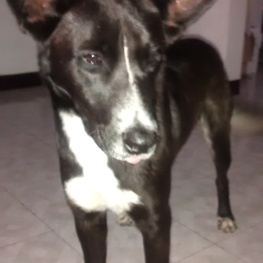 D d988c78d d143 4b49 bb06 d6a5aa923cc7