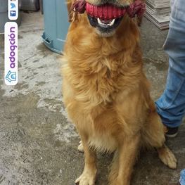 D be91659a 82e0 49f2 8813 5fef12be83f6