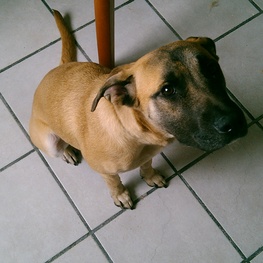 D 77bfda9f 06a2 477e b26d 79e64f63e7c9