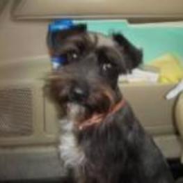 D 607bd8d7 fea7 4ae0 8eb6 c96f4da59983