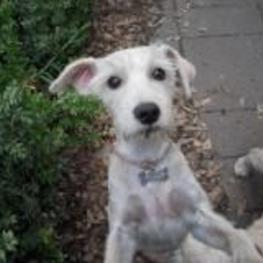 D 01923953 ca2b 4575 8547 e81c6452ae43