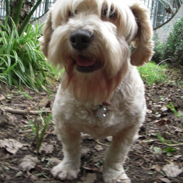 D 8392b0b0 75ac 45c8 a05a 57cb702d79fe