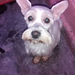 D eb93c2ec e31b 415f 8980 8dec340e9c05