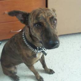 D b42b9fa7 e5ad 4f43 b171 ca0215f59a60