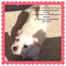 D 06d84e1a 4db1 46c5 a0a3 b6d4c6be2dc3