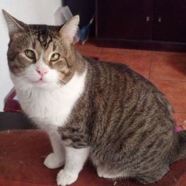 D 3e98f2b4 67d8 4cc1 9261 f8dba8fa4cf9