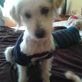 D c7fb44cb 2bd8 455d 8684 c0b59f1e3141