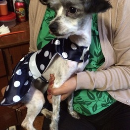 D a51d892f e066 40eb b7c6 ae4a29bd905b