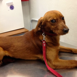 D 70e1b4ac 5432 4bc5 842d 33254a57b3fd