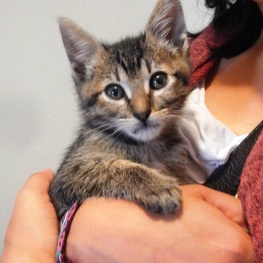 D f541742e aa8b 4c85 b462 c3d9c8200c8d