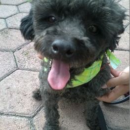 D 3f8031c4 9d84 4c2f 87f4 eb6be0fb054a