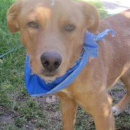 D 107c236d 05e4 48c4 b83e 5c4872639443