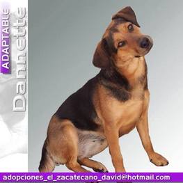 D 3a98066d 7098 4693 8d66 94c7c0033074