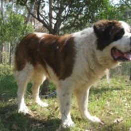 D 6abfc601 7e5a 4fcd a3ec 92019eaaa986