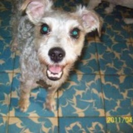 D a17c8943 23a1 45db a116 fca8ba021ccd