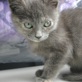 D 8f5cc9f4 3b75 4a6a 9001 c93dac99a74d