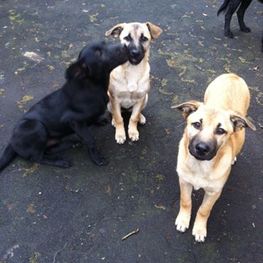 D 3e2bc946 da04 4f3c 8690 2ed0a6aba082