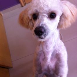 D 3dbb755b c67d 4f15 afff 948cf85eaac4