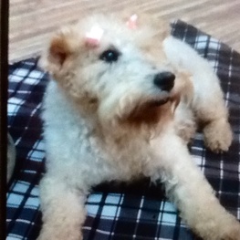 D bd050f22 1278 498b 97b4 b45748a3d639