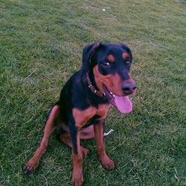 D 9256e05c 1280 4a08 b196 a8886e7eb2cf