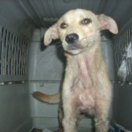 D bd0328ac 611d 41a1 8167 7047907e4d91