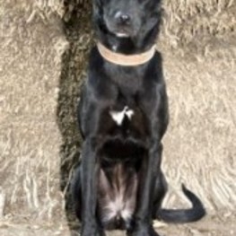 D 87472868 8410 4b45 82dc 0d143cb7fbfd