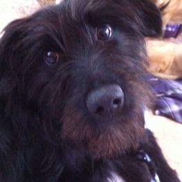 D 927fba7c 9b28 4e62 9e52 f2445967bf00