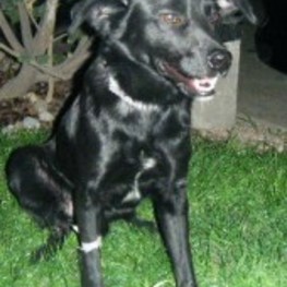 D f3d932d7 a820 4531 856d 70eb51318d49