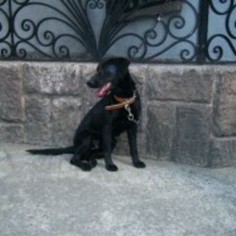 D 6185652c 13bf 4d3f 90a2 83a09a4166eb