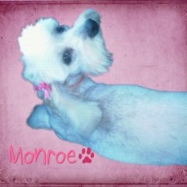 D bfe4542d bbb3 47f2 8281 74d0f9ec9f79