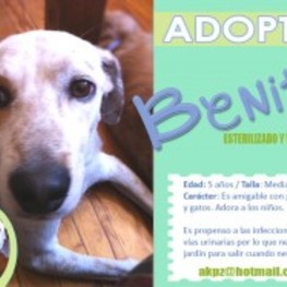 D 85ff190e 87c0 46c7 84ac 1ee67ecf1e0b