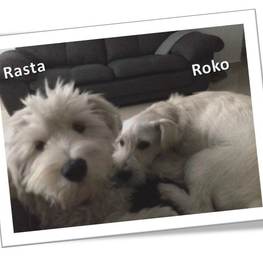 D 8941a1a7 8474 4a15 86b3 e29da74e7efa